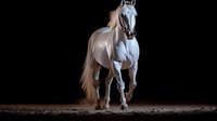 Majestic white horse galloping on dark background, dramatic lighting highlights muscular body and flowing mane, creating powerful motion effect in studio setting.
