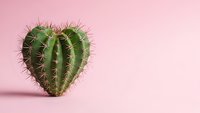 Heart-shaped cactus succulent plant with spines on soft pink background. Minimalist botanical concept for love, romance, and Valentine's Day decorations.