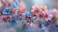 Delicate pink cherry blossoms and blue forget-me-nots bloom together in spring, creating a dreamy pastel composition with soft bokeh background.