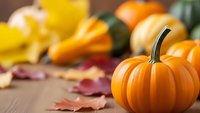 Orange pumpkin with autumn leaves on wooden table for seasonal harvest decoration and fall holiday celebrations.