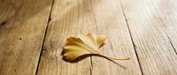 Single golden ginkgo leaf resting on rustic wooden planks with natural grain texture and warm lighting for autumn seasonal design projects.