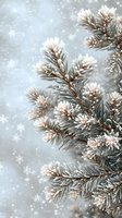 Snowy pine branches with delicate frost crystals and falling snowflakes create magical winter atmosphere against soft gray background for seasonal designs.