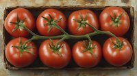 Fresh ripe tomatoes on vine arranged in rustic wooden box, overhead view of red organic produce with green stems for food photography and design.