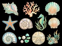 Isolated sea life collection featuring conch shell, coral, starfish, seashells, seahorse, sand dollar, and sea glass on transparent background. Ready for t-shirt design, clipart, stickers, sublimation, and print-on-demand projects.
