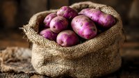 Fresh purple potatoes in rustic burlap sack on wooden surface, natural organic produce with vibrant color and textured composition for food photography.
