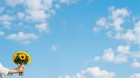 Sunflowers in a vase against a bright blue sky with white clouds, ideal for summer, nature, and home decor design projects.