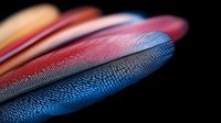 Vibrant macro shot of colorful feathers showing detailed texture and patterns with blue, red, and orange plumage against dark background, natural abstract design.