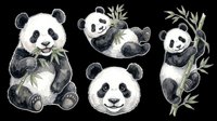 Cute watercolor panda bear set with bamboo, isolated on transparent background. Four poses for stickers, clipart, t-shirt design, print on demand, and sublimation.
