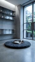 Fluffy cat sleeping on a round gray rug in a minimalist concrete interior with metal shelves and large glass door.