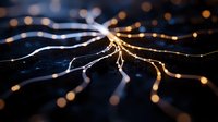 Glowing neural network visualization with branching light paths against dark background creates futuristic technology concept for AI and digital connectivity.