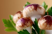 Fresh brown and white mushrooms with green parsley leaves on beige background, macro food photography showing texture and natural details.