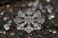 Delicate crystalline snowflake with intricate symmetrical patterns captured in macro photography on dark background with water drops and bokeh effect. Perfect for winter designs.