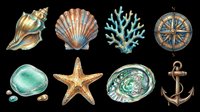 Nautical sea shells starfish coral compass anchor isolated on transparent background, ready for t-shirt design, clipart, stickers, print-on-demand products and sublimation crafts.