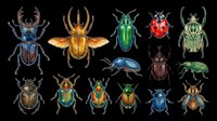 Colorful beetle collection featuring various species isolated on transparent background, ready for clipart, t-shirt design, stickers, print-on-demand products, and sublimation projects.