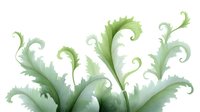 Delicate sage green watercolor acanthus leaves with curling tendrils and soft gradient effects create an elegant botanical composition on white background.