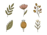Botanical line art illustrations featuring hand-drawn leaves, wildflowers, and seed pods in earthy tones. Isolated elements on white background, ready for design projects.