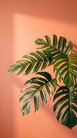 Tropical plant with variegated green and yellow striped foliage against warm peachy background, ideal for home decor, wellness, and botanical design projects.