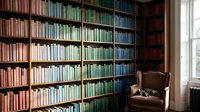 Cozy home library with colorful books arranged by color on wooden shelves, a vintage armchair, and a sleeping cat by the window.