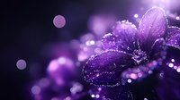 Delicate purple flower petals covered in sparkling water droplets against dark background with dreamy bokeh lights creating magical macro nature photography.