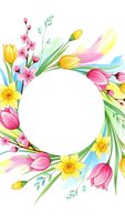 Spring floral wreath with tulips, daffodils and cherry blossoms on white background. Watercolor botanical frame for greeting cards and invitations.