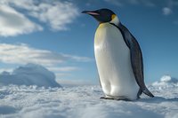 Emperor penguin standing majestically on snow against blue sky with clouds, showcasing distinctive yellow neck patch and sleek black and white plumage.