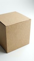 Brown cardboard box isolated on white background for shipping, packaging and delivery services.