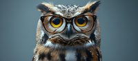 Wise owl wearing retro eyeglasses against blue background, close-up portrait showing detailed feathers and intense yellow eyes. For education and wisdom concepts.