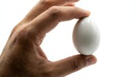 Male hand holding white egg isolated on white background, suitable for food, nutrition, cooking, and health-related design projects.