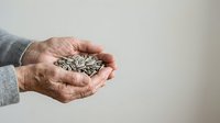 Senior adult hands holding sunflower seeds against neutral background, representing harvest, nutrition, healthy eating, gardening, and natural food sources for commercial and editorial use.