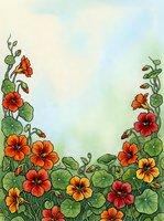 Watercolor nasturtium flowers frame with orange, red and yellow blooms on soft blue sky background, copy space for text or greeting card design.