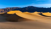 Golden sand dunes with rippled patterns stretch across desert landscape against dark mountain range and vibrant blue sky, creating dramatic natural contrast in morning light.