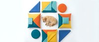 Sleeping golden retriever surrounded by colorful geometric shapes and circles in blue, yellow, orange and teal on white background for pet care and design projects.