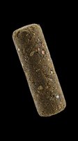 Herbal pressed block with mixed dried herbs and spices, isolated on transparent background, ready for stickers, print on demand, clipart, and T-shirt design use.