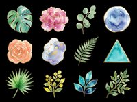 Watercolor botanical elements collection featuring isolated monstera leaf, pink peony, eucalyptus, blue circle wash, orange rose, purple floral, fern frond, turquoise triangle, palm leaf, yellow berries, teal leaves, and green foliage on transparent background. Ready for clipart, t-shirt design, stickers, sublimation, and print-on-demand projects.