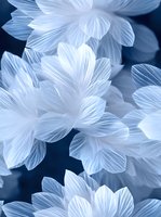 Ethereal white flower petals with delicate translucent texture against dark blue background create dreamy botanical macro composition for wedding and spa designs.