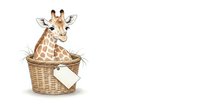 Young giraffe with tan and brown spotted coat sitting in woven basket with blank tag on white background, isolated clipart for nursery decor and children's design projects.
