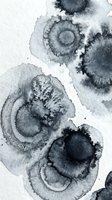 Abstract watercolor painting with organic circular forms in black and gray tones creating fluid artistic composition for modern interior design and creative projects.