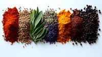 Vibrant rows of colorful ground spices and herbs including paprika, coriander seeds, sage leaves, dried flowers, turmeric, sumac and black peppercorns on white background.