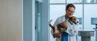 Smiling male veterinarian in white coat holding small dog in modern clinic examination room for pet healthcare and animal medical treatment services.