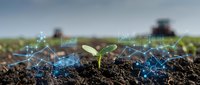 Smart agriculture technology with green seedling emerging from soil and digital network connections in modern farming field.