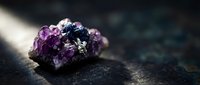 Raw amethyst crystal cluster with deep purple formations on dark stone surface with dramatic lighting for geology and mineral collection displays.