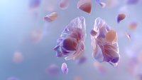 Ethereal pink rose petals floating in dreamy purple atmosphere with soft focus and delicate lighting effects, creating romantic and mystical mood for wedding designs.