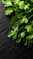 Fresh parsley leaves with water drops on dark slate background, dramatic lighting creates contrast between bright herbs and moody surface. Food photography setup.
