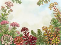 Watercolor botanical frame with succulents and wildflowers on soft background for wedding invitations, greeting cards and nature-themed designs.