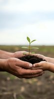 Two hands holding seedling with soil against blurred agricultural field background. Concept for environmental conservation, sustainable farming, growth, and eco-friendly practices.
