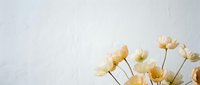 Delicate dried beige flowers arranged against a soft white textured wall, creating a minimalist aesthetic for home decor and lifestyle branding.