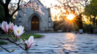 Blooming magnolia flowers frame gothic church entrance at sunset, with sun rays breaking through trees and creating golden reflections on stone pathway.