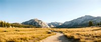 Scenic mountain landscape with golden meadow, winding stream, and evergreen forest under clear blue sky, suitable for travel and nature backgrounds.