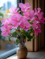 Vibrant magenta bougainvillea flowers arranged in wooden vase by window, displaying lush green foliage and delicate pink blooms for floral decoration and home styling.