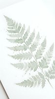 Watercolor fern leaf botanical illustration on white paper with delicate green tones and artistic paint splatters for nature-inspired design projects.